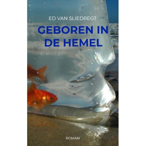 Geboren In De Hemel - Ed Van Sliedregt