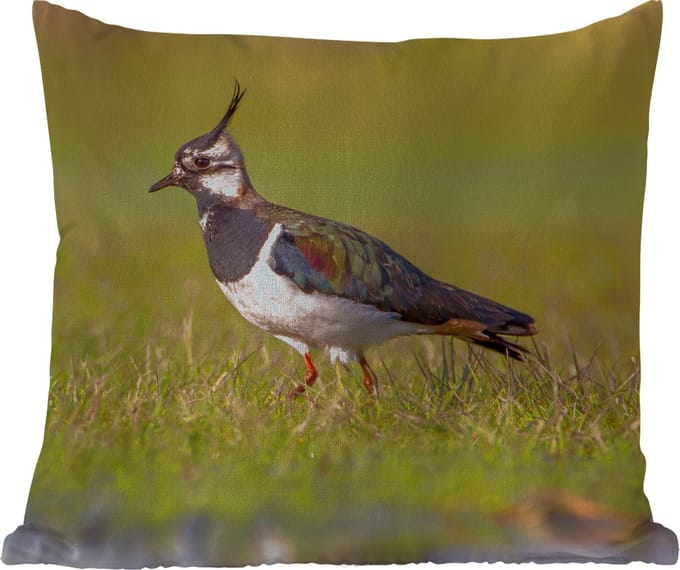 Tuinkussen - Vogel - Gras - Natuur - Dieren - Kievit - 40x40 cm - Weerbestendig