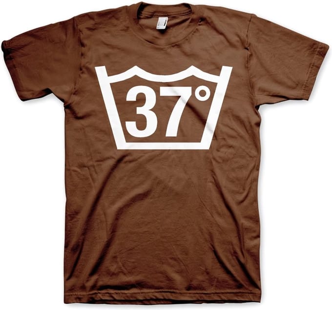 Hybris 37 Celcius Tee T-shirt bruin