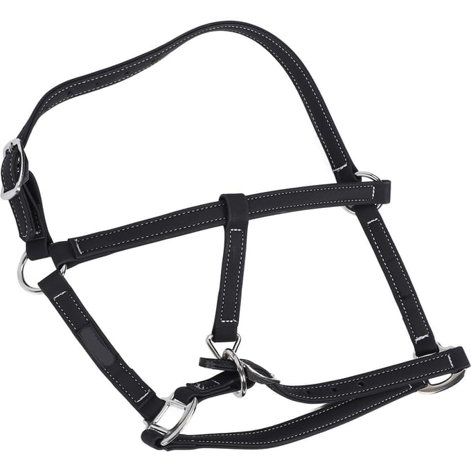 Bride d'équitation Nylon Bride pour cheval Réglable Bride pour cheval Têtière Harnais Accessoire pour Medium