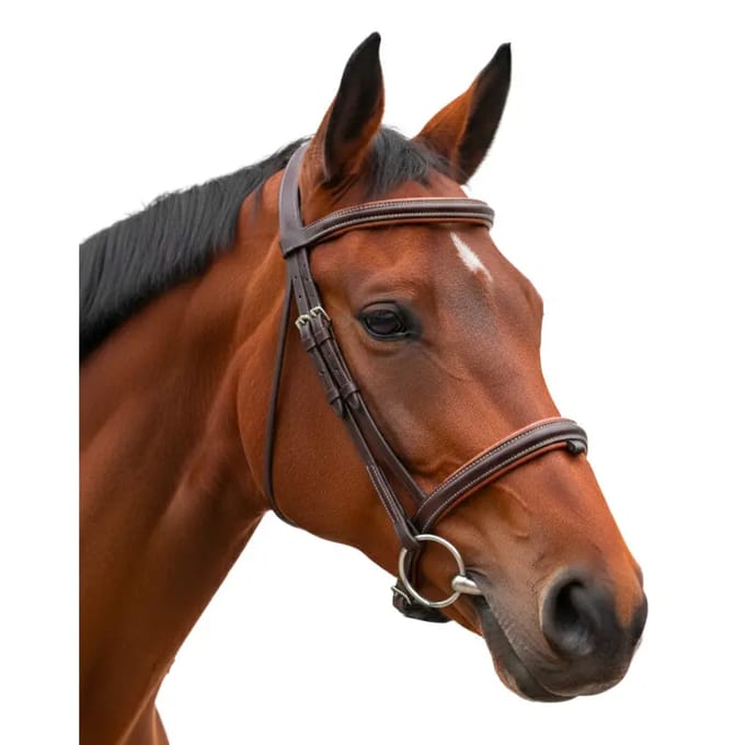 Bridon paardrijden gecombineerde neusriem 1/2 rond Canter Vagabond