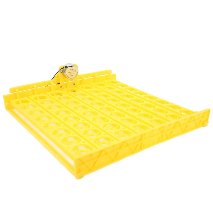 Retourneur d'œufs automatique 56 œufs ABS Retourneur d'œufs automatique pour incubateur d'œufs automatique 12V yellow