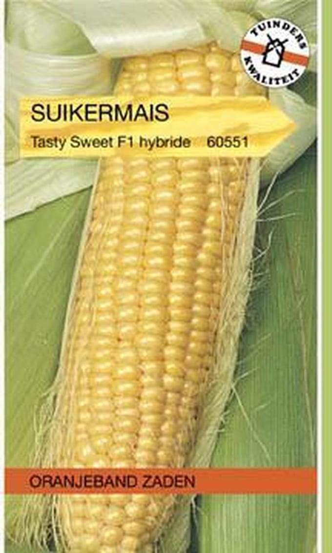 OBZ 660551 Suikermais Tasty Sweet F1