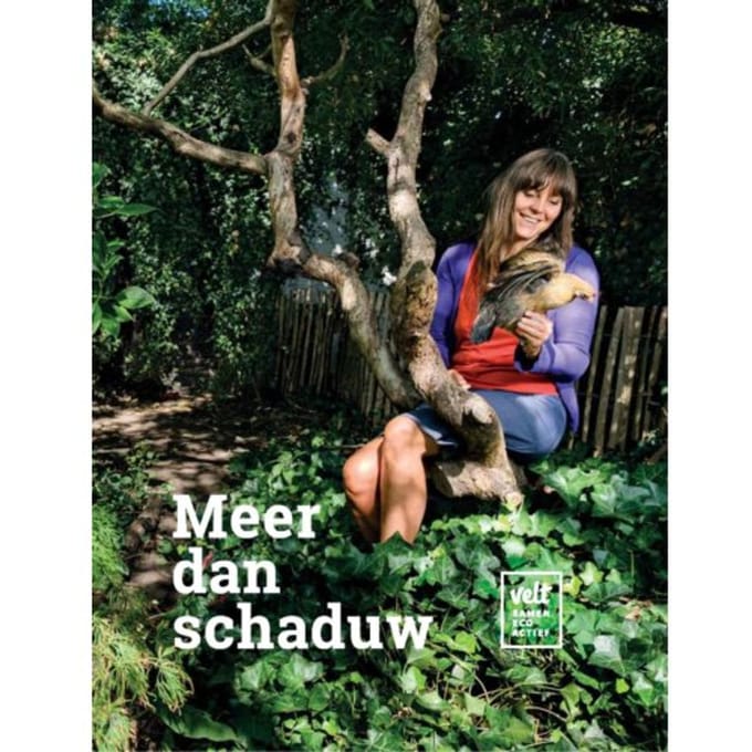 Meer Dan Schaduw - Greet Tijskens