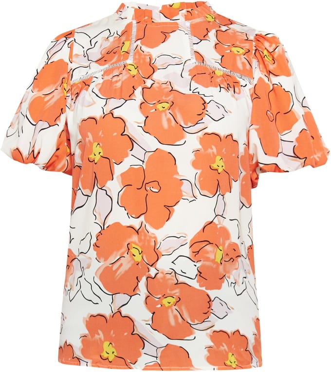 usha Blouse