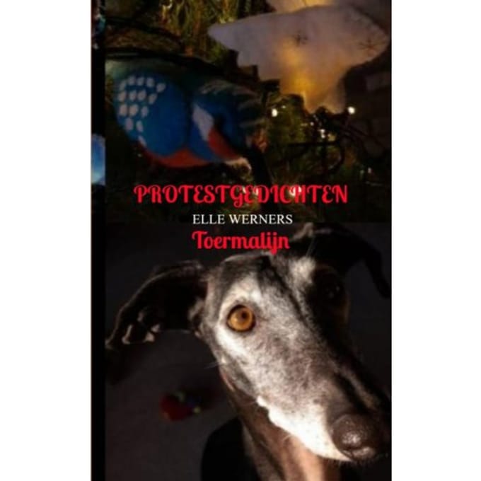 Protestgedichten - Elle Werners