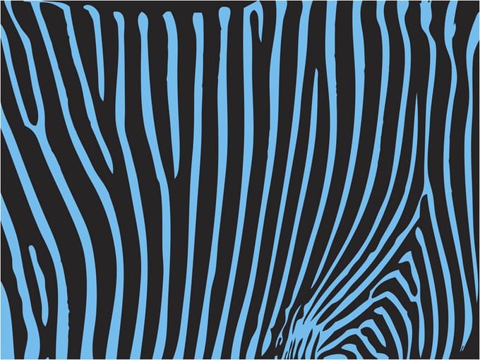 Fotobehang - Zebra pattern (turkoois).