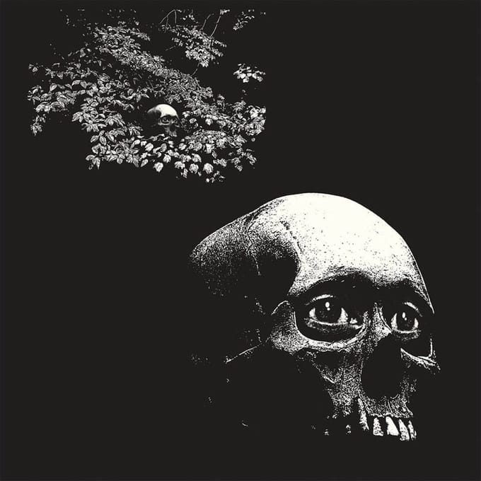 Thee Oh Sees - A Foul Form (CD)