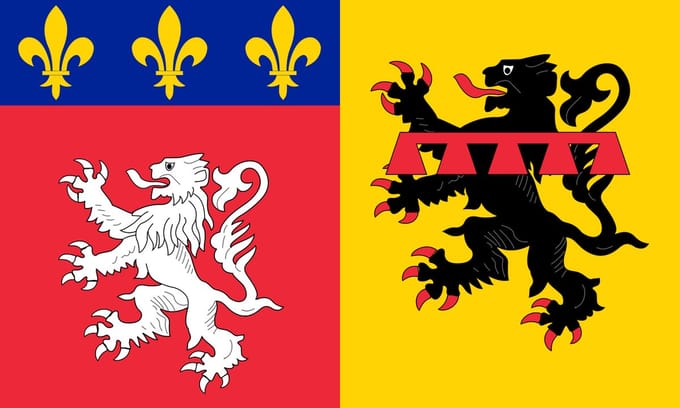 Vlag Rhône 100x150cm