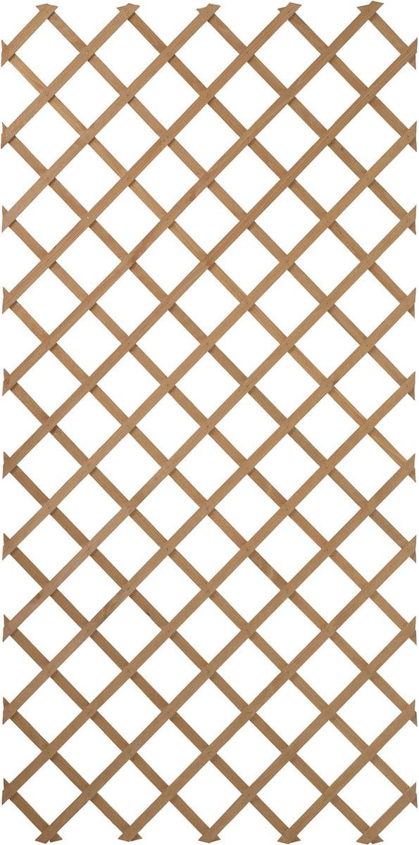 Treillis extensible en bois 100 x 200 cm Nature