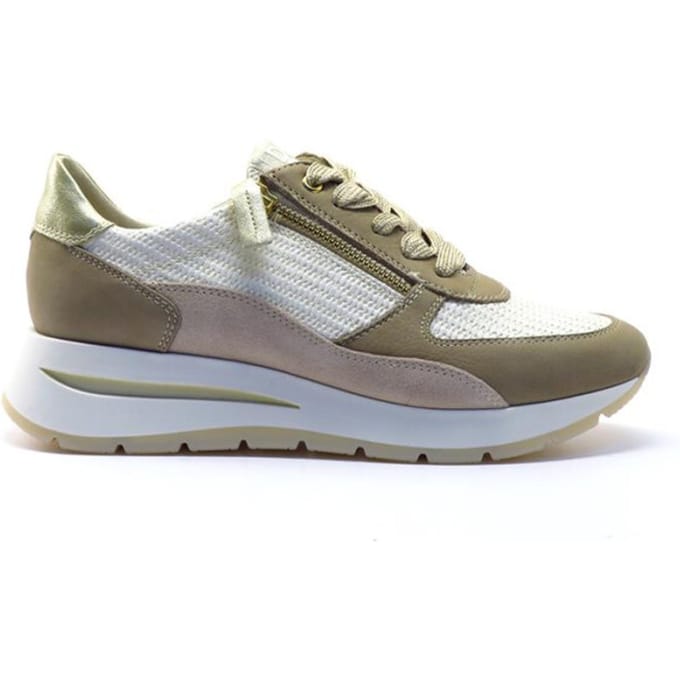 DL Sport 6561