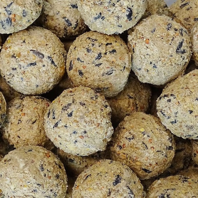 Mezenbollen Vogelvoer Zonder Net 100 stuks ca.90g