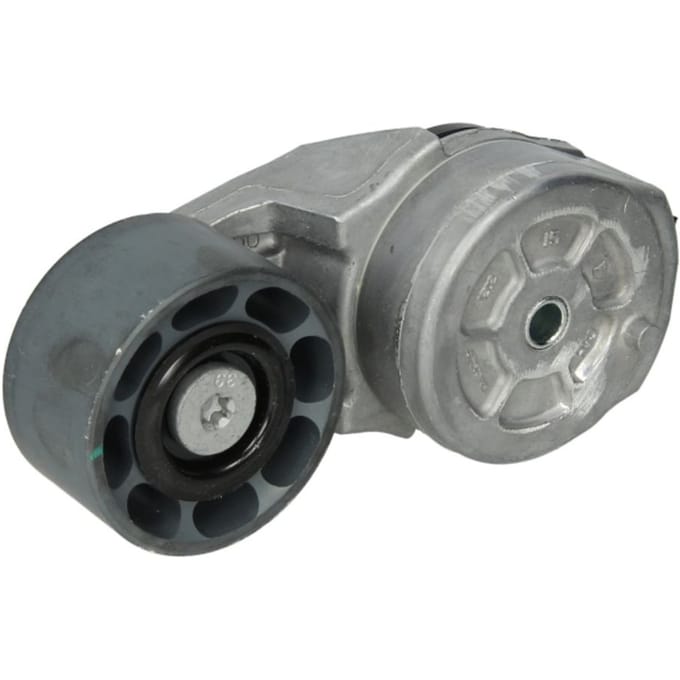 Riemspanner, Poly V-riem DAYCO APV2721