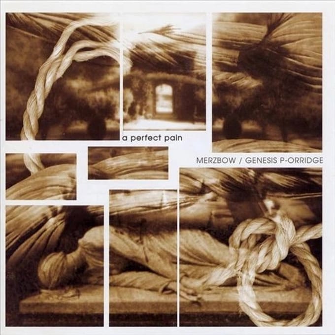 Merzbow / Genesis Breyer P-Orridge - A Perfect Pain (CD)