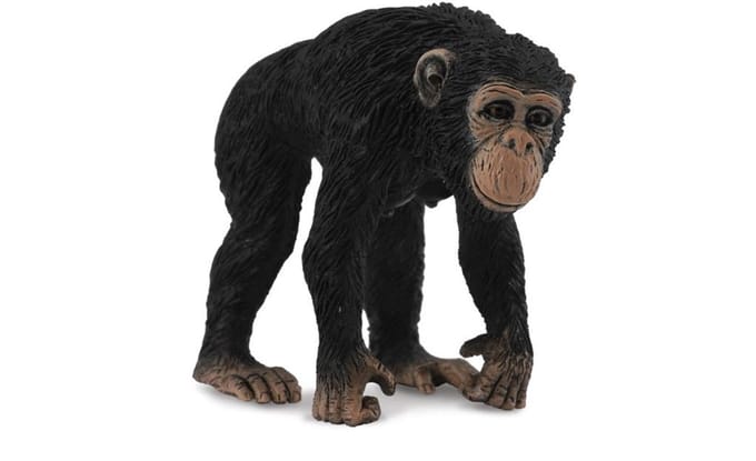 Collecta Wilde dieren (M): CHIMPANSEEWIJFJE 5.5x3.5x5cm