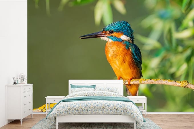 Behang - Fotobehang Vogel - IJsvogel - Tak - Bladeren - Mos - Breedte 450 cm x hoogte 300 cm