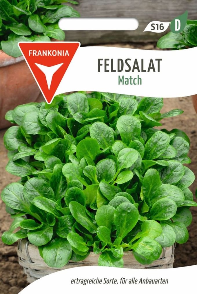 Veldsla, Matcha - Groentezaden, slazaden, zaden