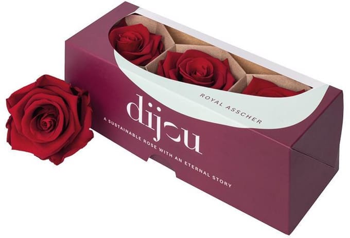 3x Dc pres.rozen red 1815c