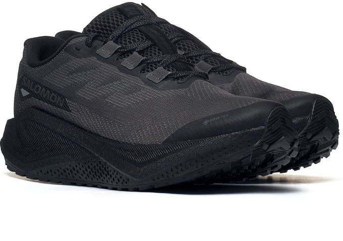 Trekking schoenen Salomon AERO BLAZE 3 GRVL GTX 44 Heren