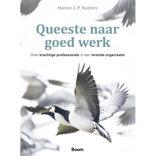 Queeste Naar Goed Werk - Manon C.P. Ruijters