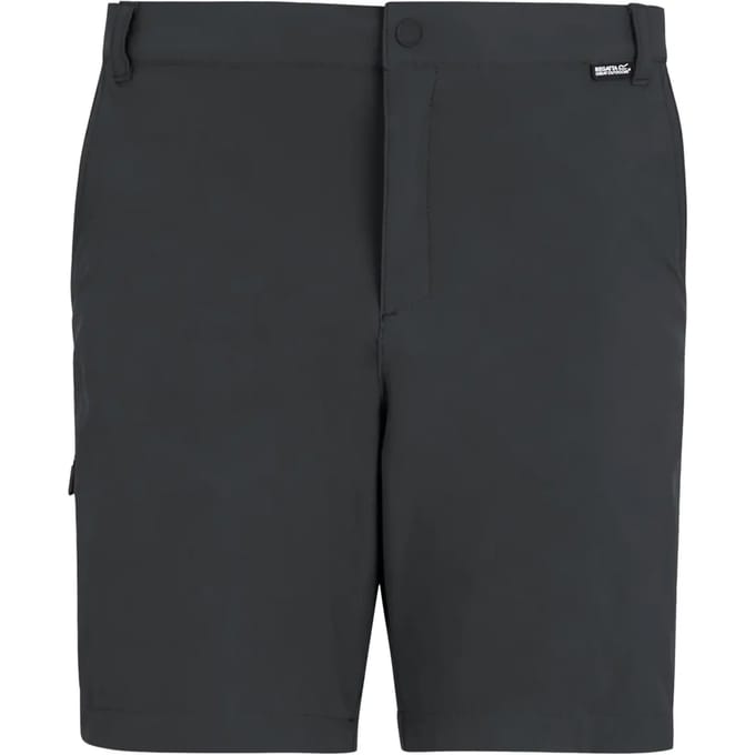 Regatta Anti-insect Travel Light Korte Broek Grijs 33 Man