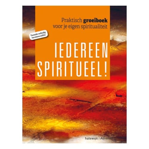 Iedereen Spiritueel - Johan Van der Vloet