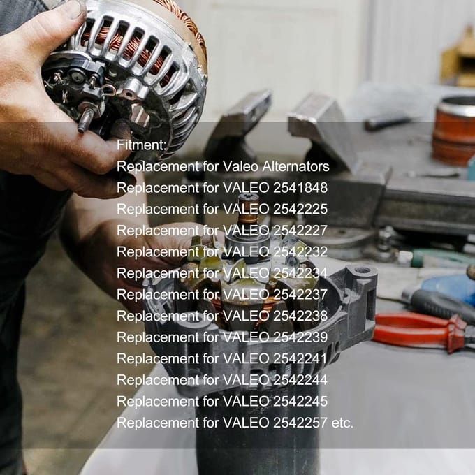 Dailygoods- Slipring Vervanging voor Valeo - Alternator Borstelset
