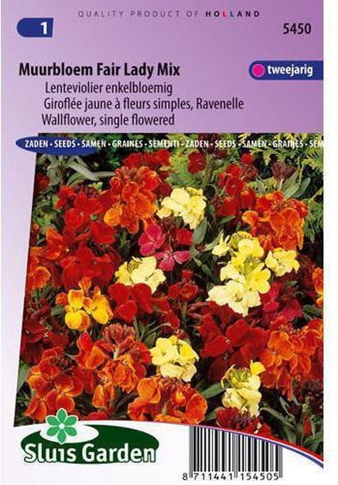 Sluis Garden - Muurbloem Fair Lady mix, enkelbloemig