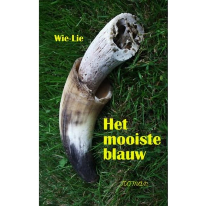 Het Mooiste Blauw - Wiel Goossens