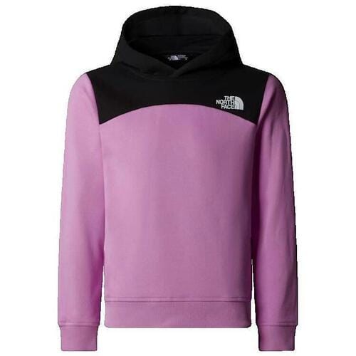 Sweaters The North Face Back Logo Relaxed P/O