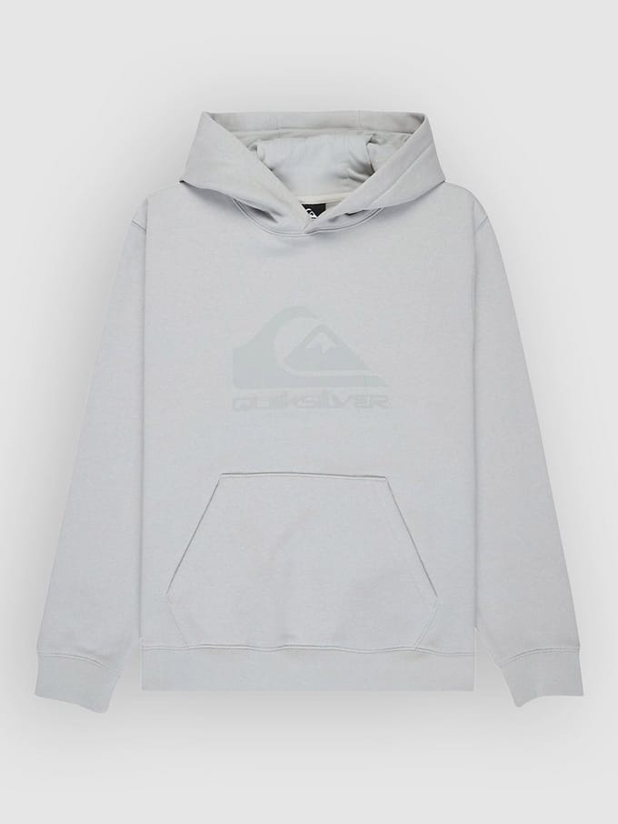 Quiksilver Comp Logo Kids Hoodie wit