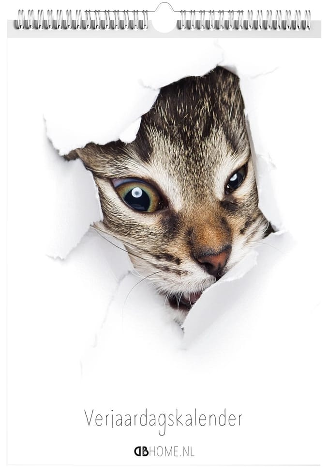 Kalender Kittens