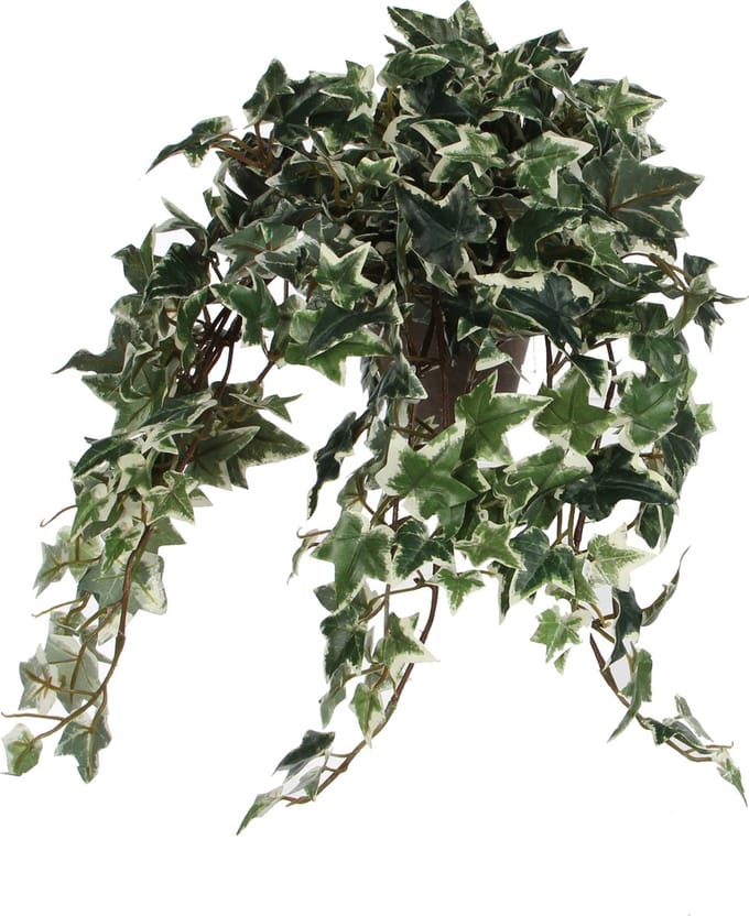 Mica Decorations Hedera Kunstplant in Bloempot Stan - H45 x Ø25 cm - Groen Bont
