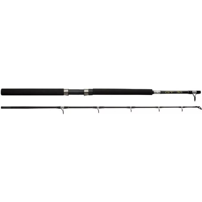 Boot werphengel Abu Garcia GT 602 30LBS