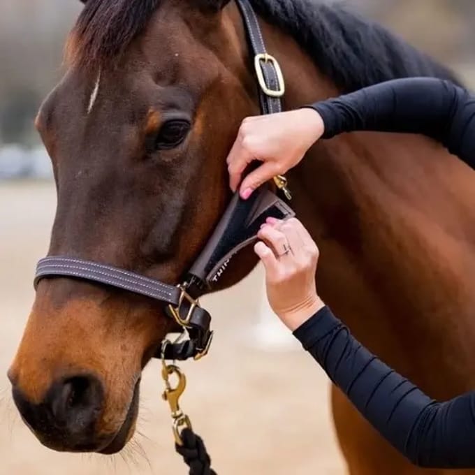 Accessoire voor beschermend halster speeltje ThinLine
