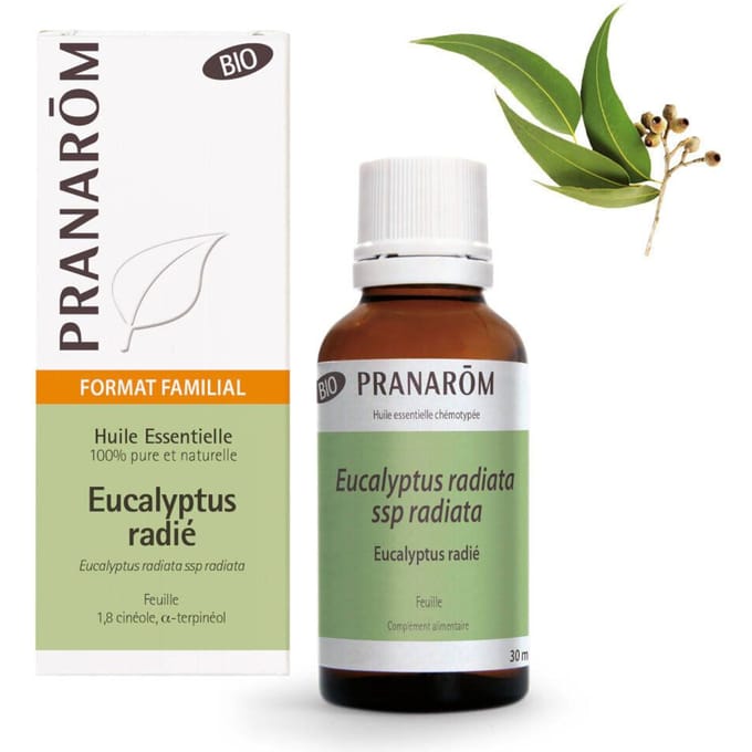 Pranarôm Essentiële Olie Eucalyptus Radiata Bio | Luchtwegen 30 Etherische olie
