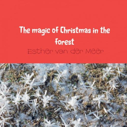The Magic Of Christmas In The Forest - Esther van der Meer - van der Me