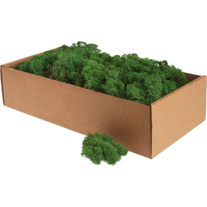 Ijslands mos, 400 g - Donkergroen