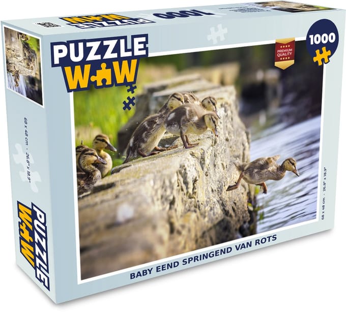 Puzzel Eenden - Stenen - Kuiken - Legpuzzel - Puzzel 1000 stukjes volwassenen