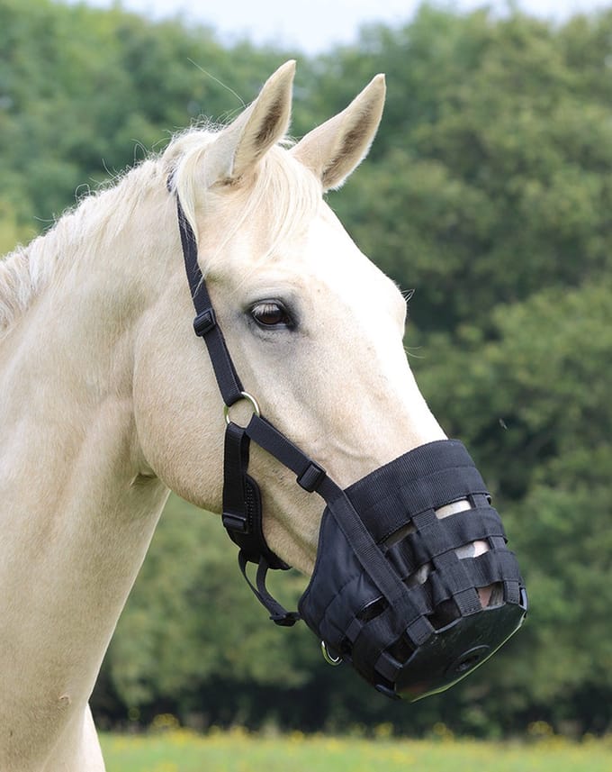 Paard muilkorven Shires FreeGraze Comfort