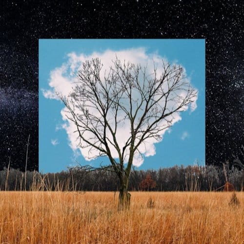Fink - Bloom Innocent (CD)