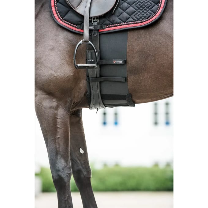Respect band voor paard Catago