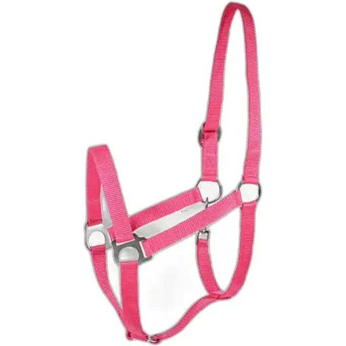 Basis halster voor paarden Horze
