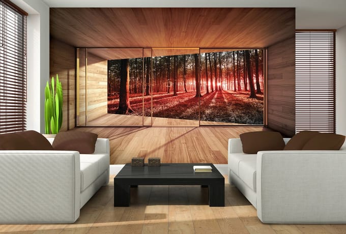 Window Forest Trees Beam Light Nature Photo Wallcovering