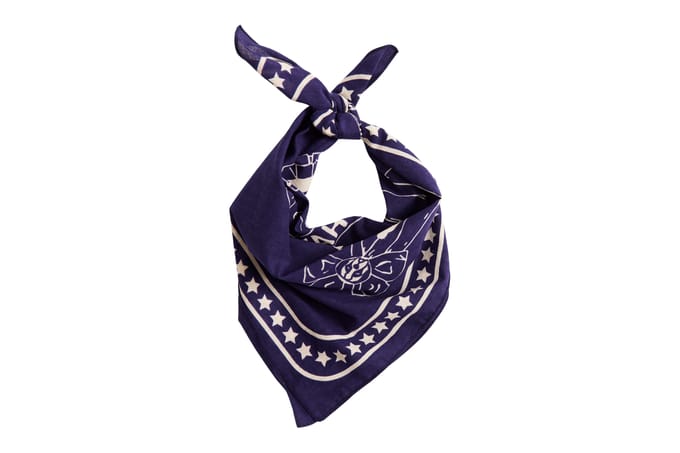 Hay zzHAY - Recycled Dogs Scarf 55 x 55 (Dark Blue)