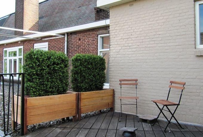Buxus deluxe kunstheg 80x100cm