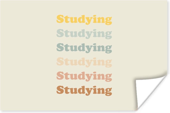 Poster Quotes - Studenten - Studeren - Motivatie - 120x80 cm