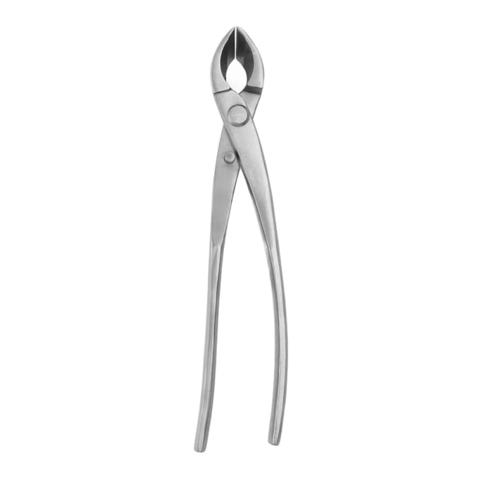 Bonsai Concaaf Takkenknipper Chroomlegering Schuin Rond Rand Knop Knipper voor Thuis Tuin gray
