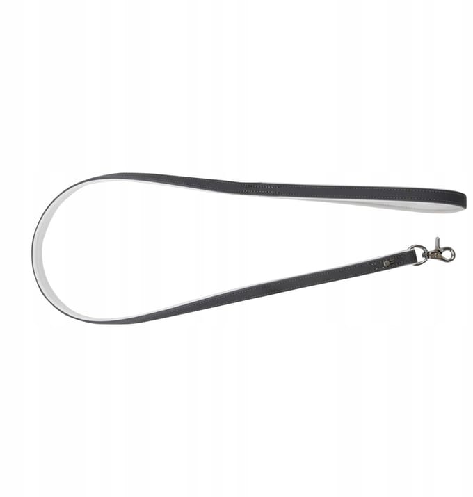 Barry King Leren Hondensnoer - Elegant & Duurzaam - 1.2m/20mm Grijs