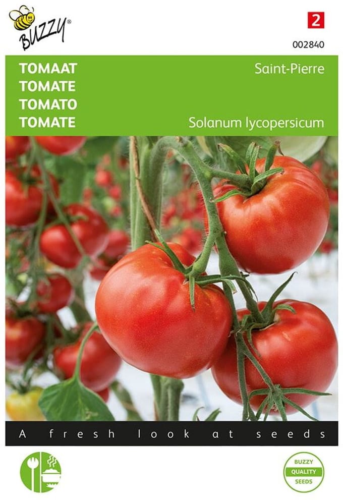 Tomaten St. Pierre - Lycopersicon esculentum